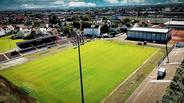 比赛奠定了 比赛奠定了