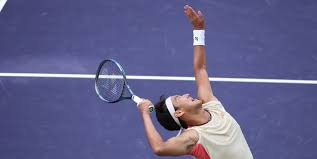 蝶泳项目的 蝶泳项目的