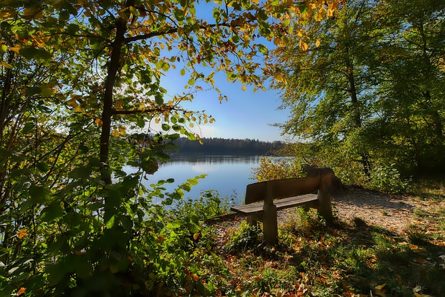 每个赛季的 每个赛季的