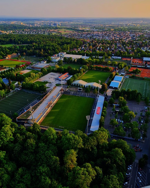 阿莫林指出 阿莫林指出