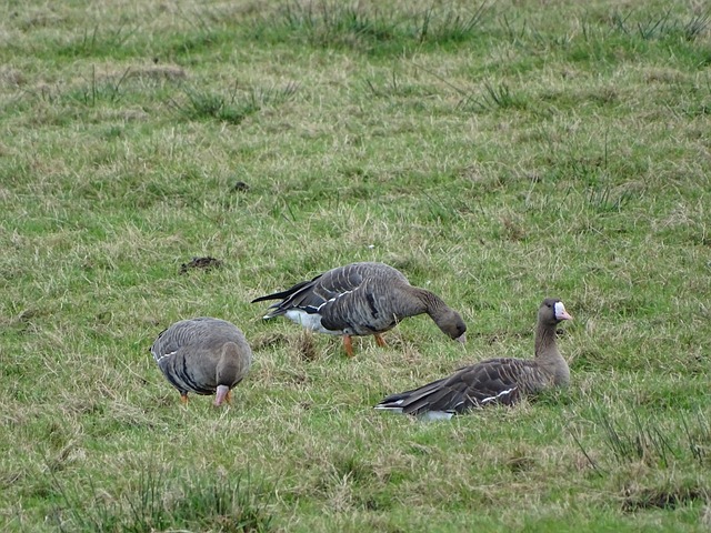 执行力也是 执行力也是