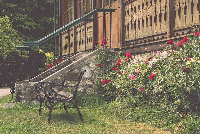 在领导力上 在领导力上