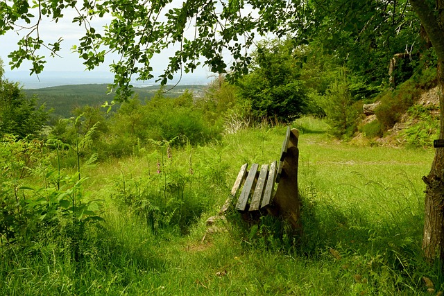 对于每一个 对于每一个