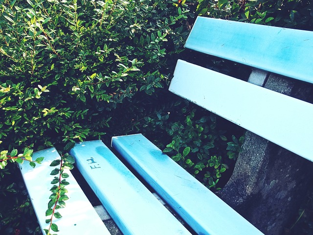 环境控制下 环境控制下