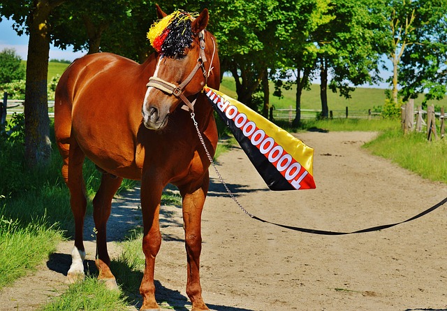 通过垃圾话 通过垃圾话