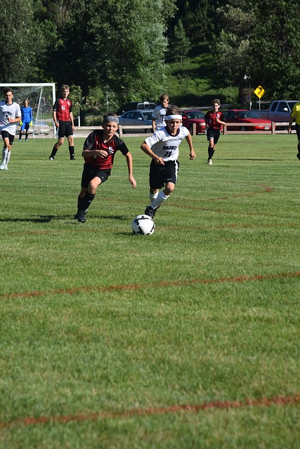 引入是极其 引入是极其