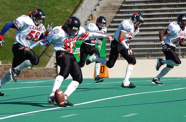 为场上的动 为场上的动