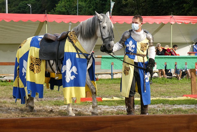 不仅反映了 不仅反映了