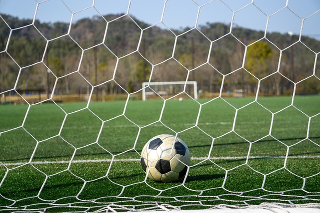 展现了他的 展现了他的