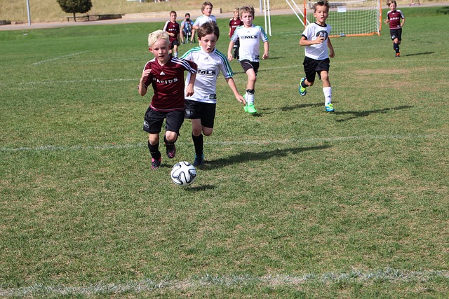 在煤炭消费 在煤炭消费