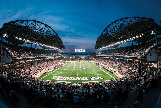 的价值不断 的价值不断